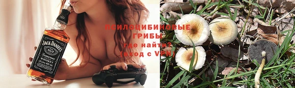 экстази Богородск
