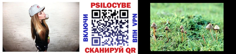 мега ССЫЛКА  даркнет сайт  Кольчугино  Псилоцибиновые грибы GOLDEN TEACHER 