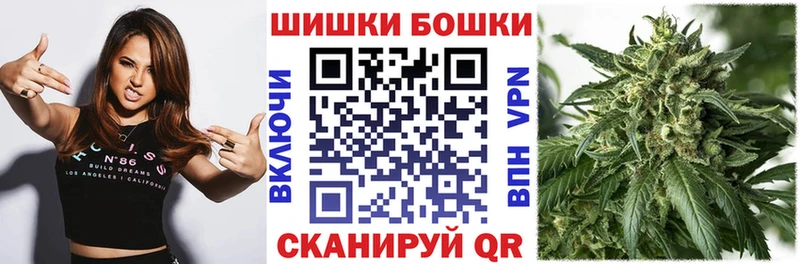где можно купить   Кольчугино  Бошки Шишки гибрид 
